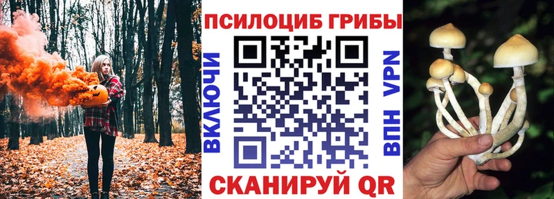 Галлюциногенные грибы Psilocybine cubensis  Дзержинск 